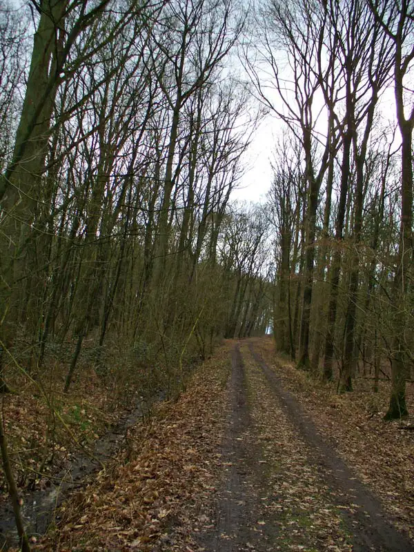 Flanderland