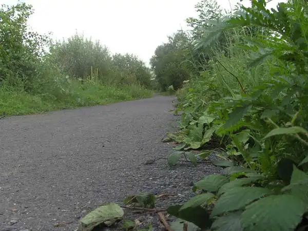 The Road to Passchendaele - Between 