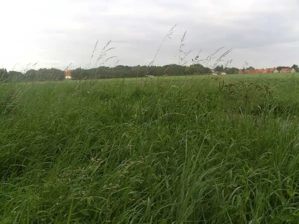 The Road to Passchendaele - Landscape of Broodseinde 2 (Foto: Marnik Vanderper)